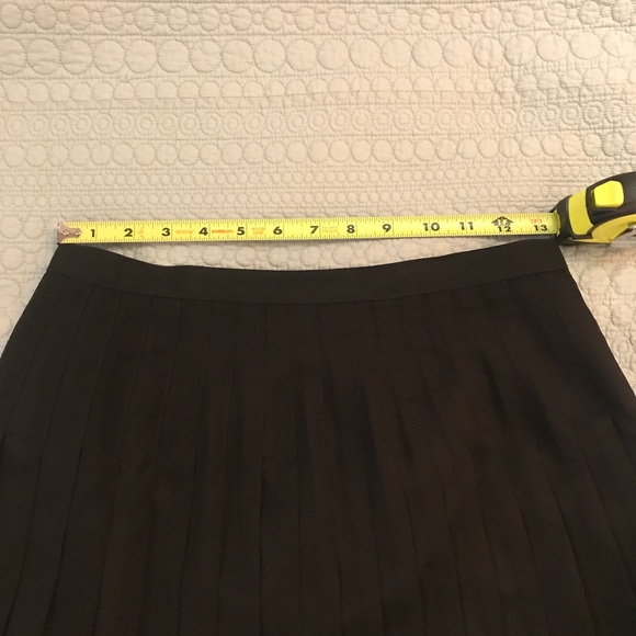 Pleated Sheer Skirt - Picture 4 of 4